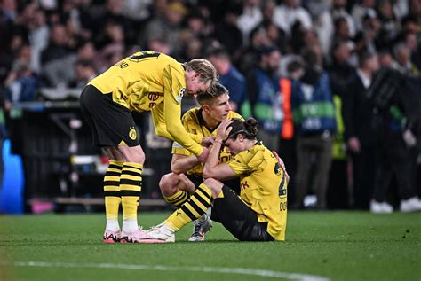 bvb dortmund champions league